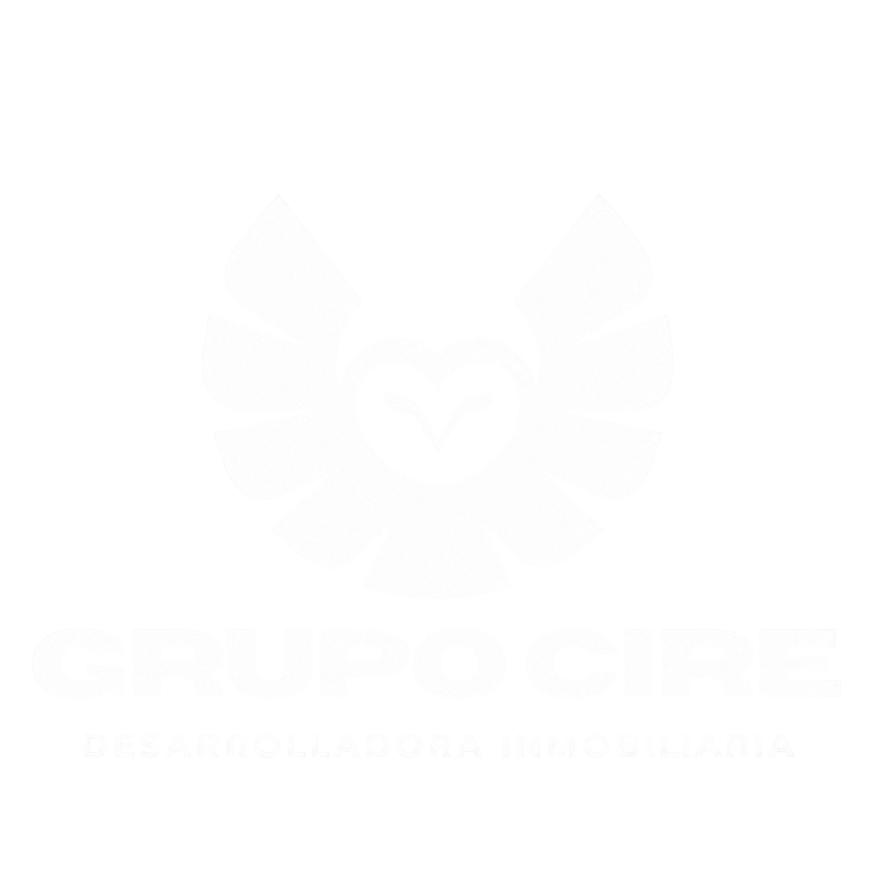 Grupo Cire